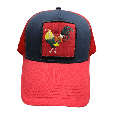 Baseball Cap 2